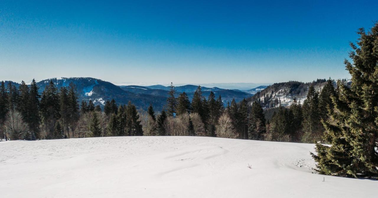 Berggasthof Zur Todtnauer Huette Feldberg  Luaran gambar