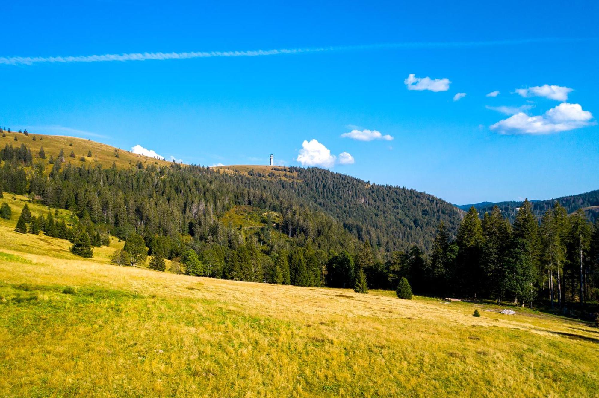 Berggasthof Zur Todtnauer Huette Feldberg  Luaran gambar